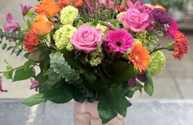 Bien utiliser son sécateur : nos conseils d'experts - Blog Promesse de  fleurs
